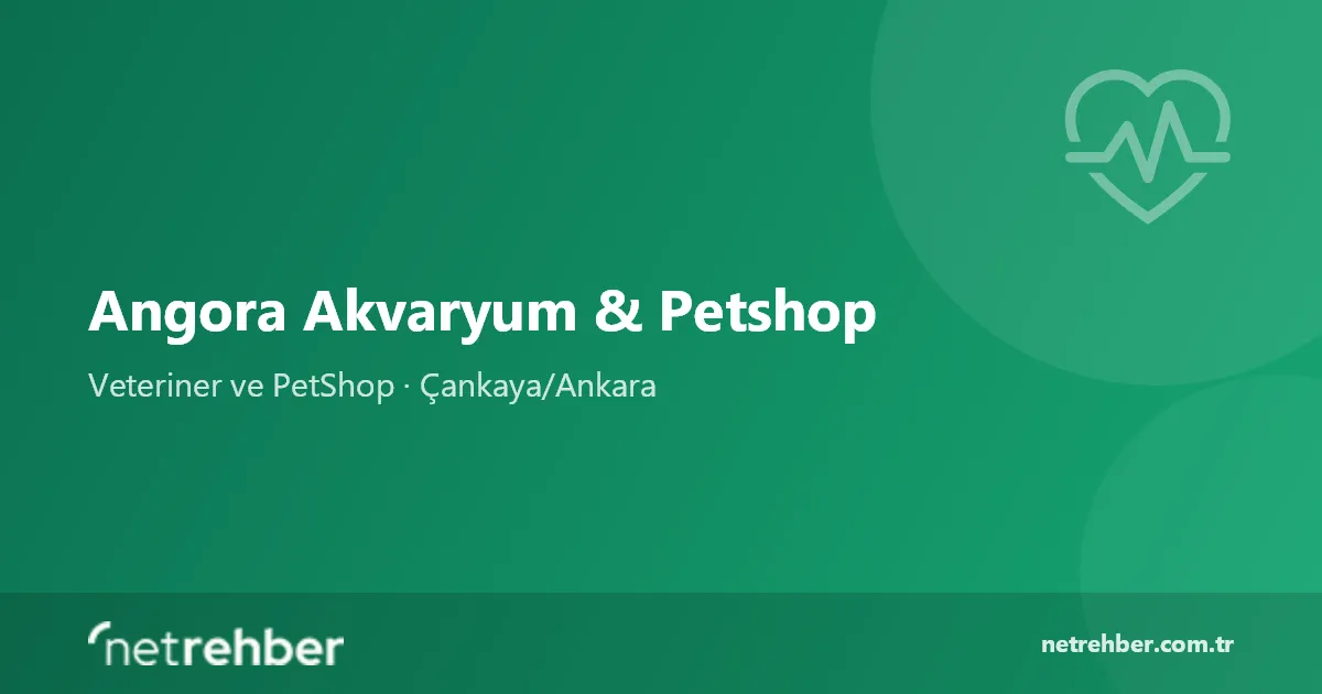 Angora Akvaryum & Petshop kapak görseli