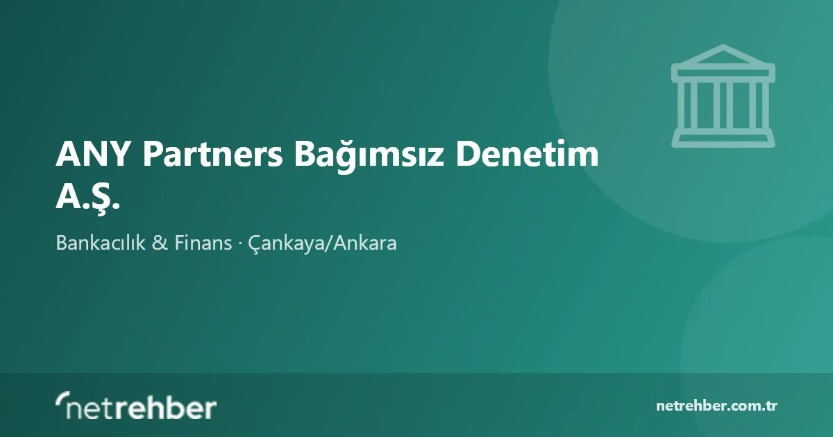 ANY Partners Bağımsız Denetim A.Ş. kapak görseli