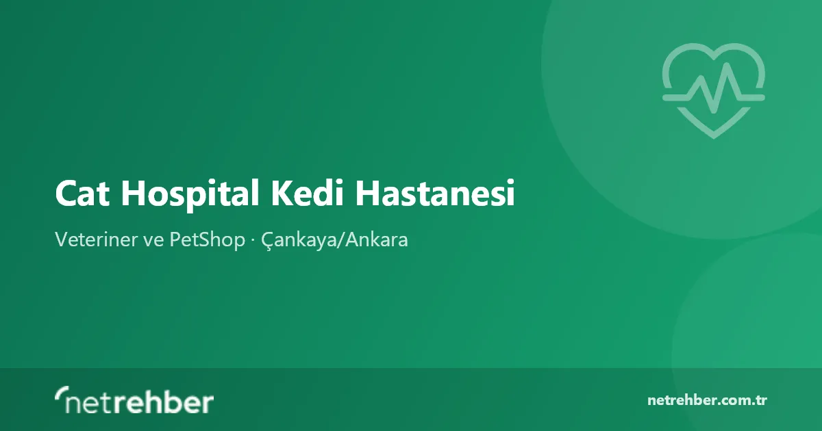 Cat Hospital Kedi Hastanesi kapak görseli