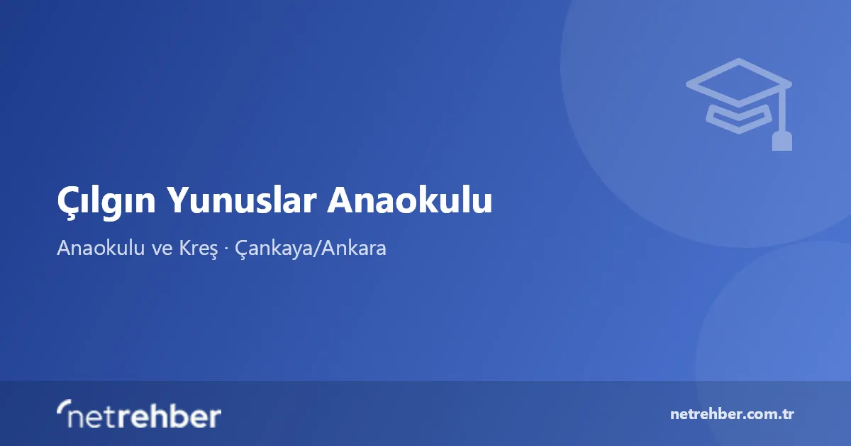 Çılgın Yunuslar Anaokulu kapak görseli