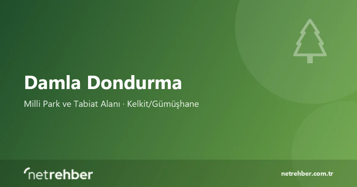 Damla Dondurma kapak görseli