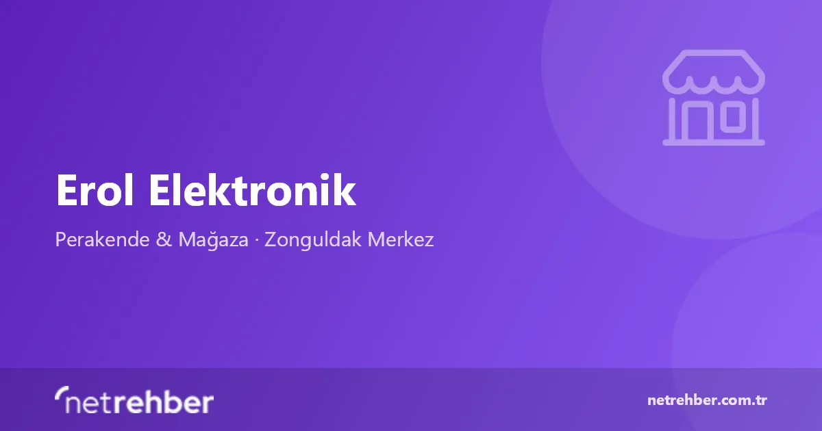 Erol Elektronik kapak görseli