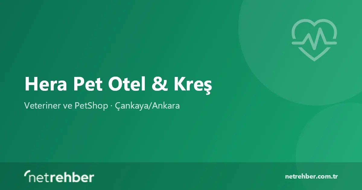 Hera Pet Otel & Kreş kapak görseli