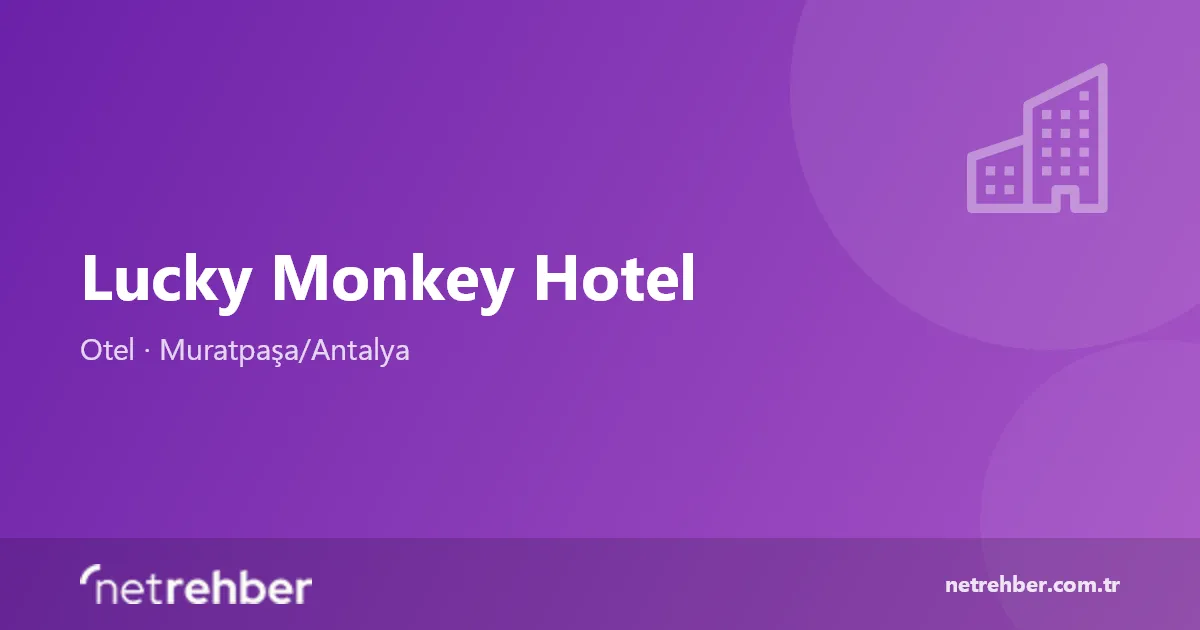 Lucky Monkey Hotel kapak görseli