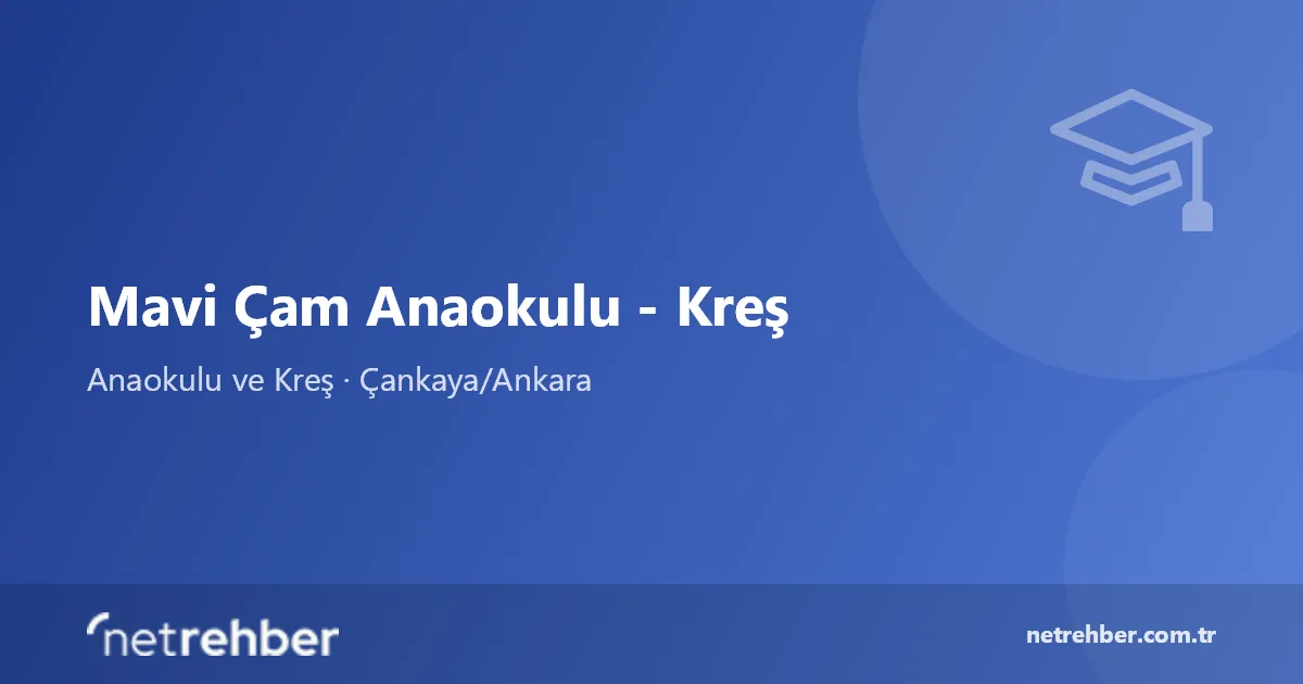 Mavi Çam Anaokulu - Kreş kapak görseli