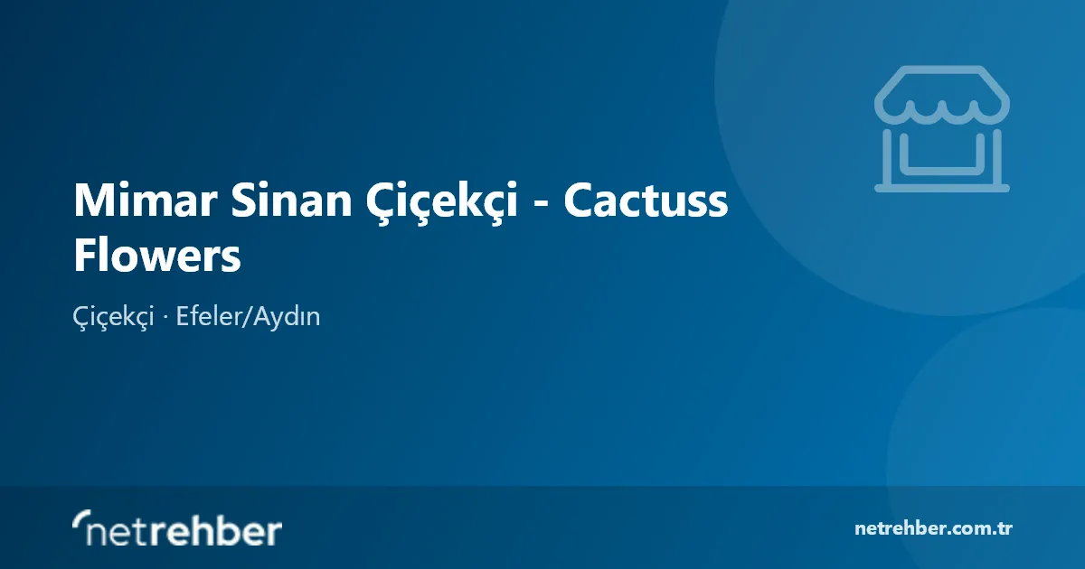 Mimar Sinan Çiçekçi - Cactuss Flowers kapak görseli