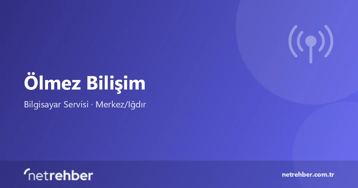 Ölmez Bilişim kapak görseli
