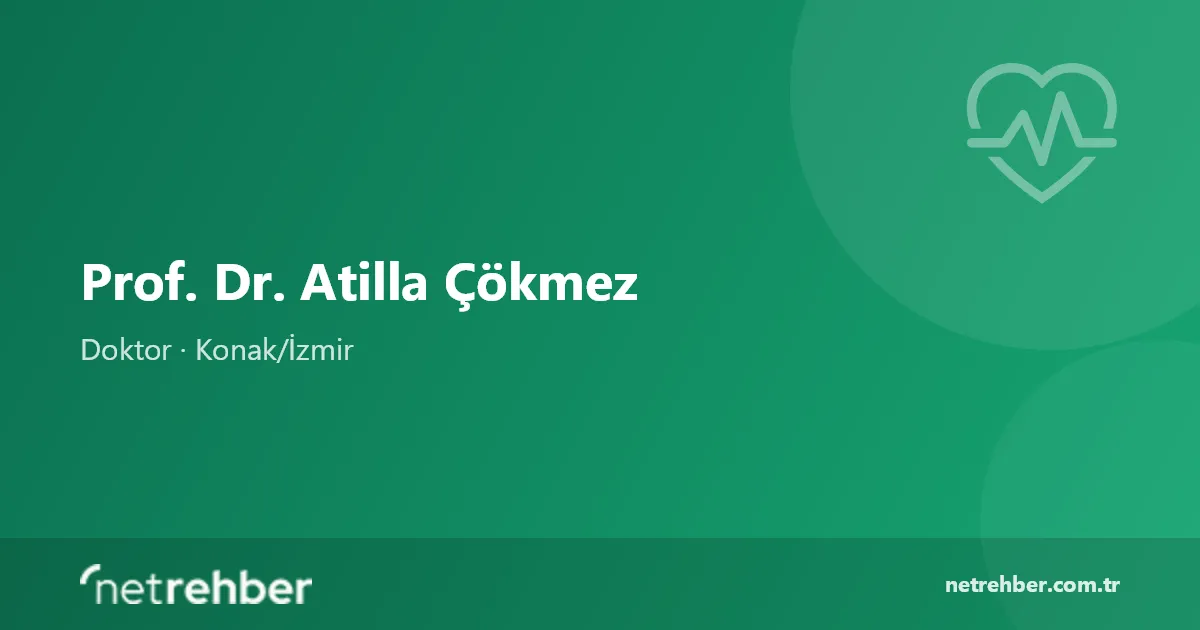 Prof. Dr. Atilla Çökmez kapak görseli
