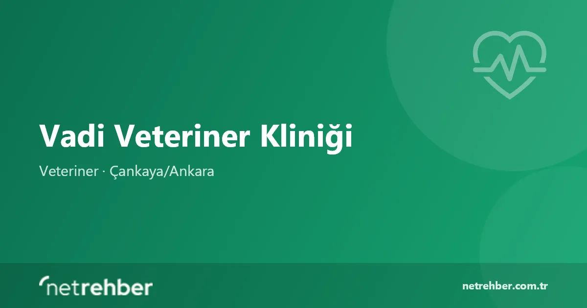 Vadi Veteriner Kliniği kapak görseli