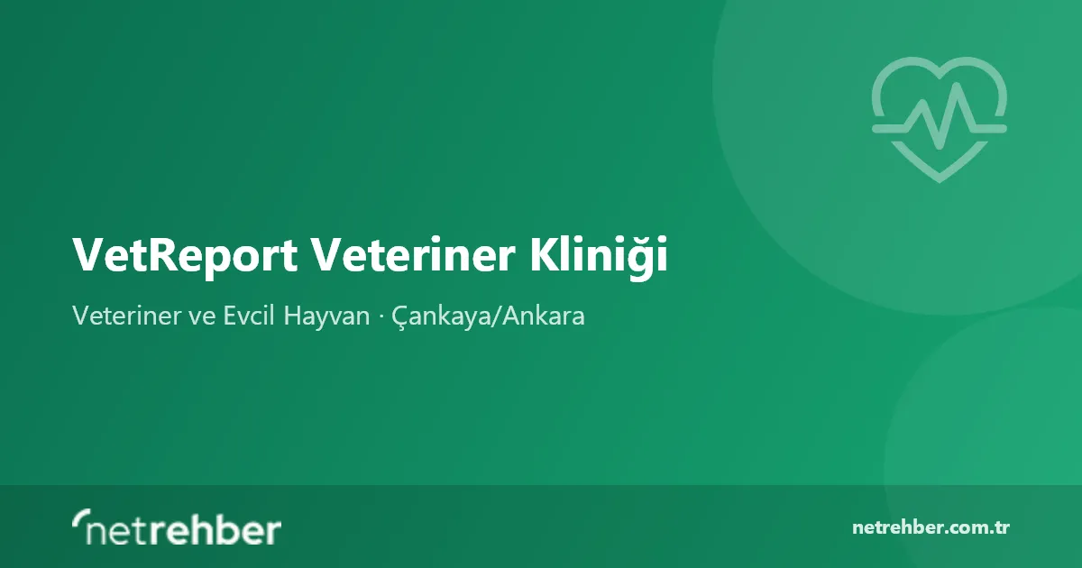 VetReport Veteriner Kliniği kapak görseli