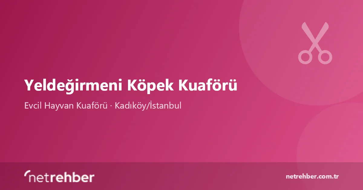 Yeldeğirmeni Köpek Kuaförü kapak görseli