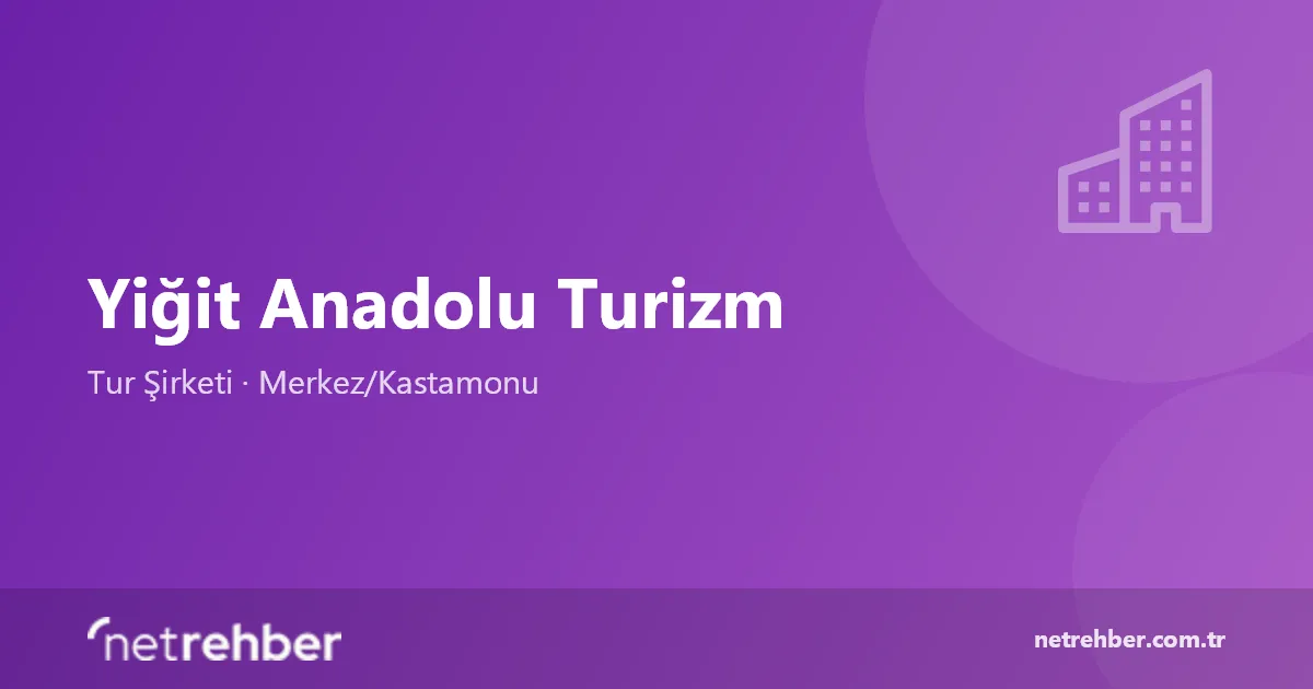 Yiğit Anadolu Turizm kapak görseli