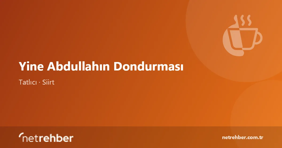 Yine Abdullahın Dondurması kapak görseli