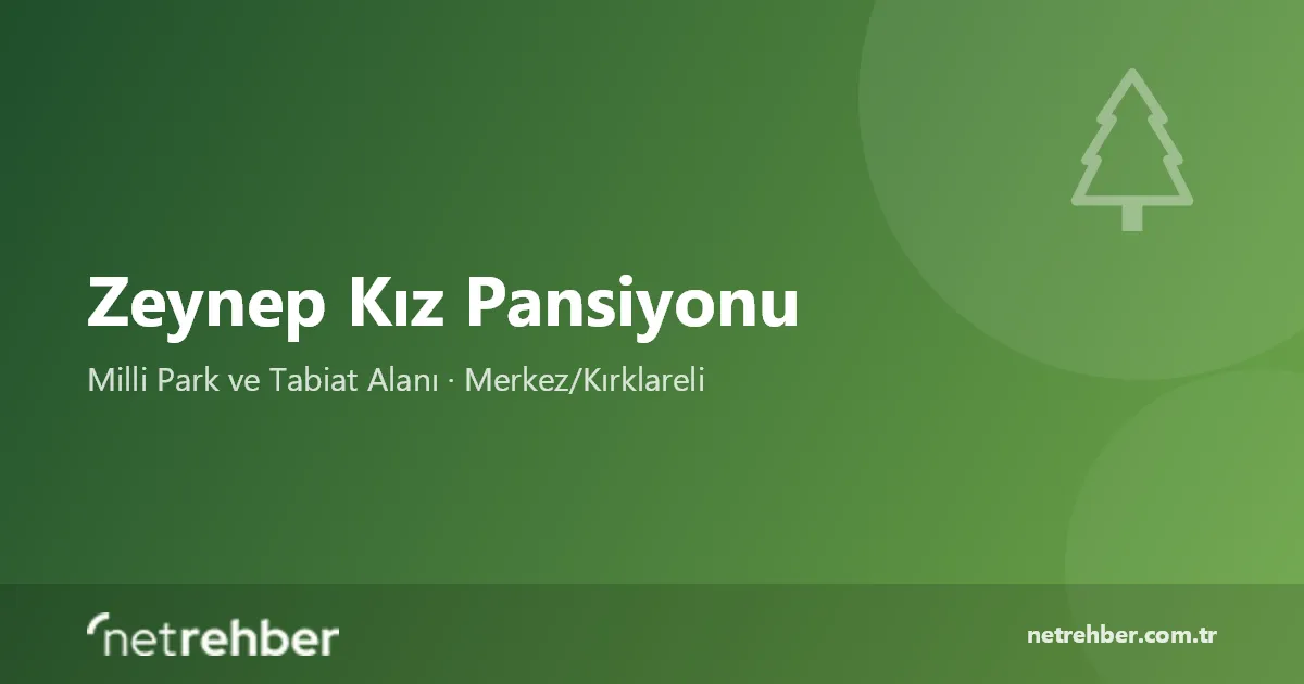 Zeynep Kız Pansiyonu kapak görseli